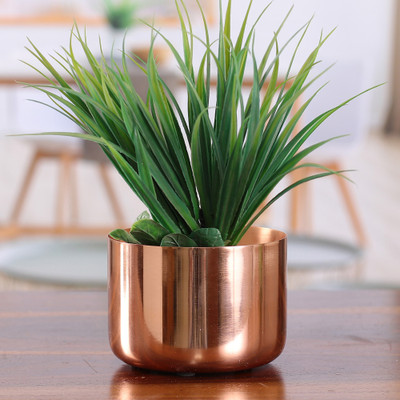 Featured Gifts under $50
