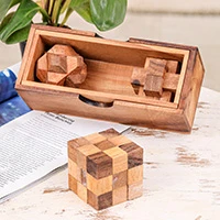 Wood puzzles, 'Game Time' (set of 3) - Set of 3 Raintree and Rubberwood Puzzles with Storage Box